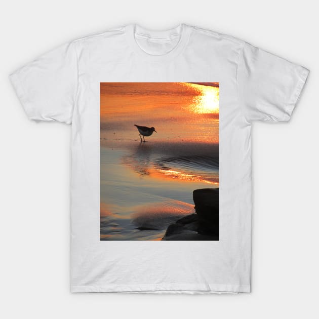 Little bird in the sunset - California T-Shirt by kittyvdheuvel